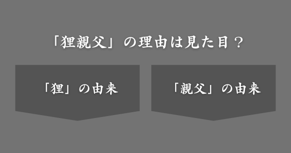 「狸親父」と呼ばれていた理由は見た目？