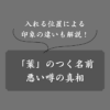 「葉」のつく名前は縁起が悪い？位置別の印象や組み合わせNG漢字も紹介
