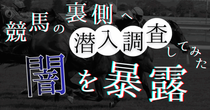 【PCバナー】競馬アフィリ記事2