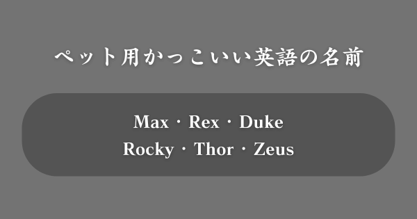 【ペット向け】かっこいい英語の名前TOP100