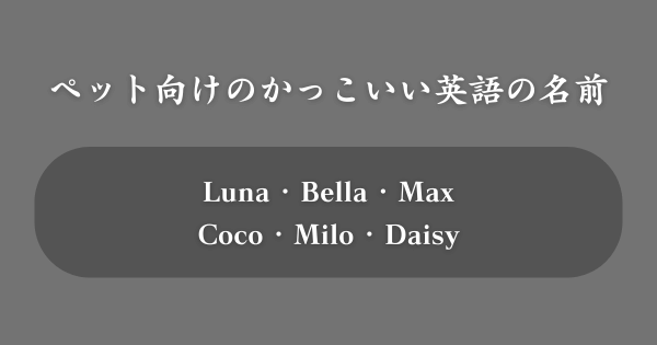 【ペット向け】かっこいい英語の名前TOP100