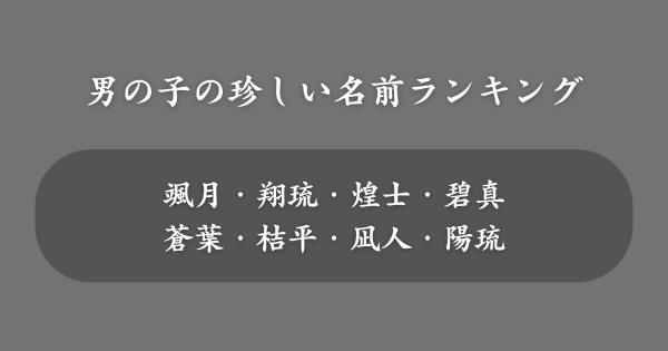 【男の子】日本で珍しい名前ランキング